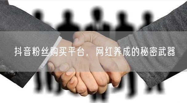 抖音粉丝购买平台，网红养成的秘密武器