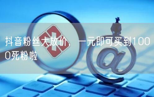 抖音粉丝大放价，一元即可买到1000死粉啦