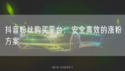 抖音粉丝购买平台：安全高效的涨粉方案