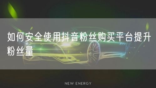 如何安全使用抖音粉丝购买平台提升粉丝量