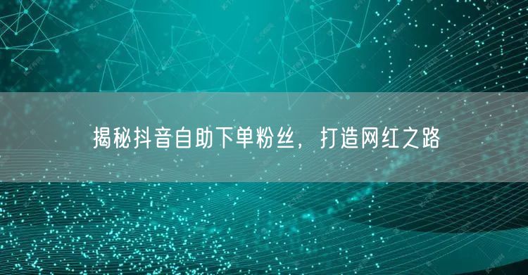 揭秘抖音自助下单粉丝，打造网红之路