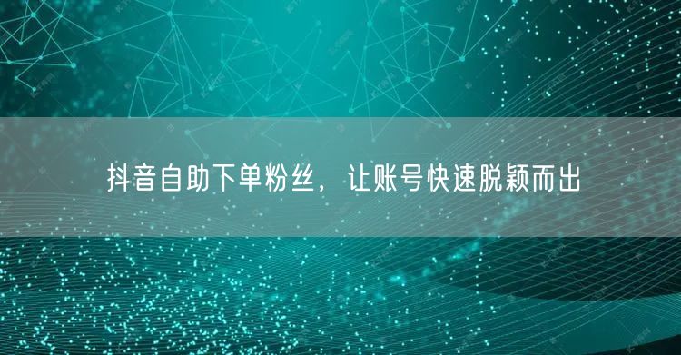 抖音自助下单粉丝，让账号快速脱颖而出