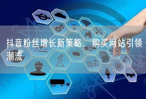 抖音粉丝增长新策略，购买网站引领潮流