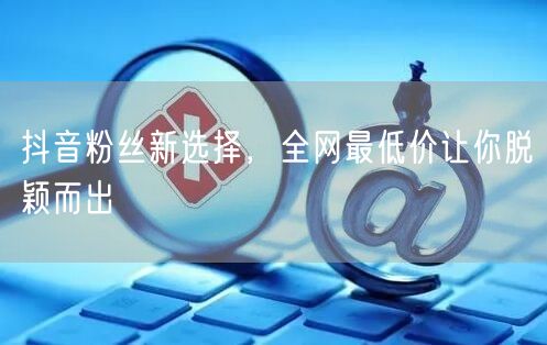 抖音粉丝新选择，全网最低价让你脱颖而出
