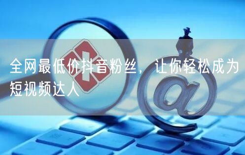 全网最低价抖音粉丝，让你轻松成为短视频达人
