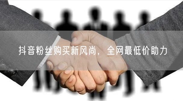 抖音粉丝购买新风尚，全网最低价助力