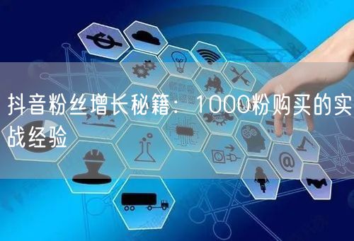 抖音粉丝增长秘籍：1000粉购买的实战经验