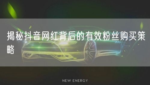揭秘抖音网红背后的有效粉丝购买策略
