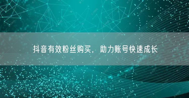 抖音有效粉丝购买，助力账号快速成长