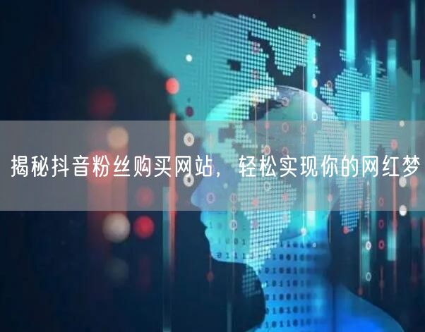 揭秘抖音粉丝购买网站，轻松实现你的网红梦