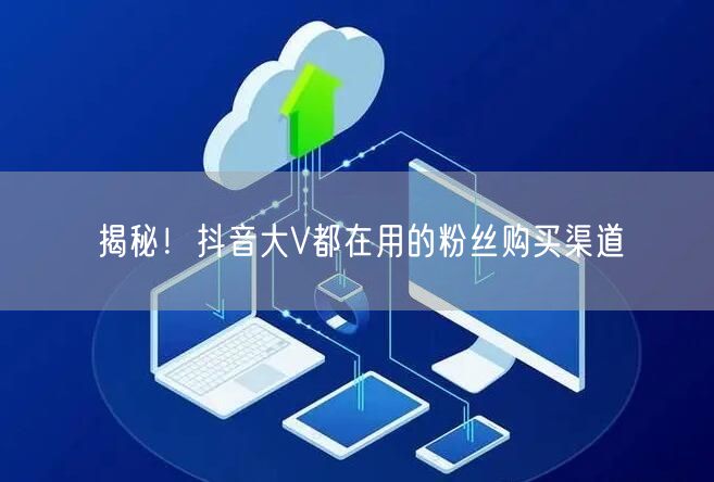 揭秘！抖音大V都在用的粉丝购买渠道