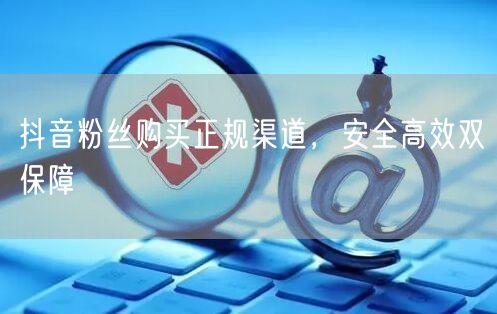 抖音粉丝购买正规渠道，安全高效双保障