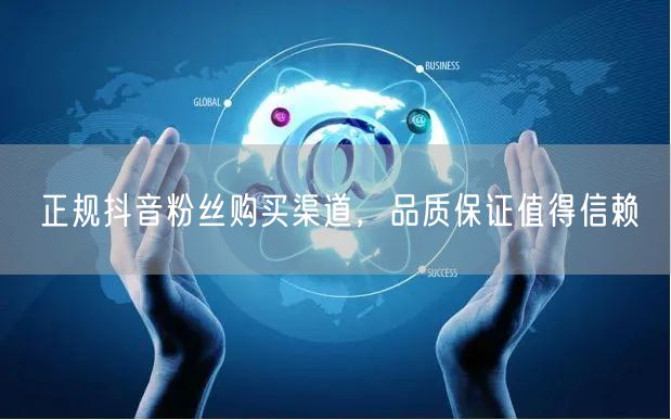 正规抖音粉丝购买渠道，品质保证值得信赖