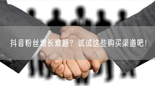 抖音粉丝增长难题？试试这些购买渠道吧！