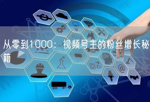 从零到1000：视频号主的粉丝增长秘籍