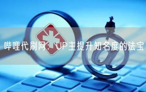 哔哩代刷网：UP主提升知名度的法宝