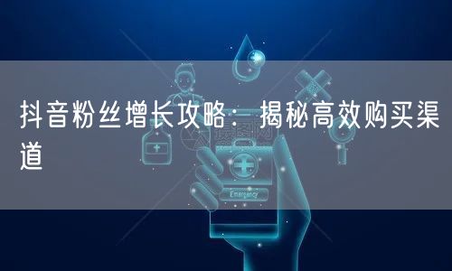 抖音粉丝增长攻略：揭秘高效购买渠道