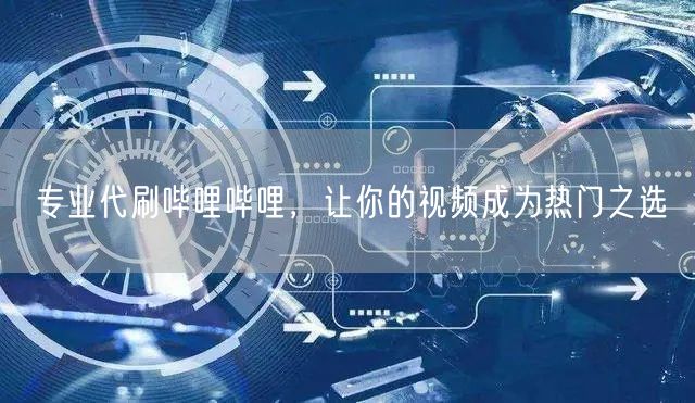 专业代刷哔哩哔哩，让你的视频成为热门之选