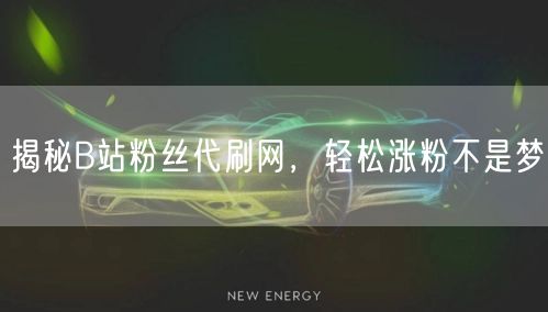 揭秘B站粉丝代刷网，轻松涨粉不是梦