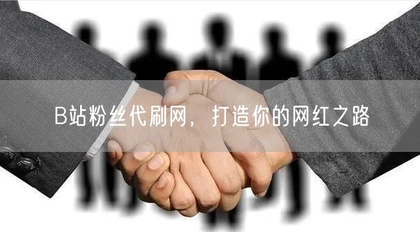 B站粉丝代刷网，打造你的网红之路