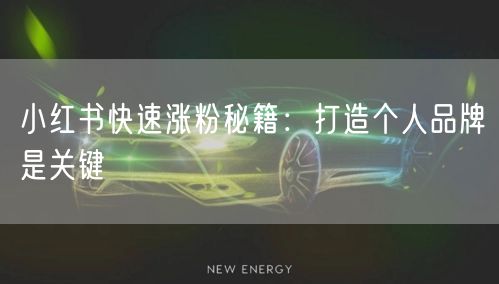小红书快速涨粉秘籍：打造个人品牌是关键