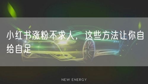 小红书涨粉不求人，这些方法让你自给自足