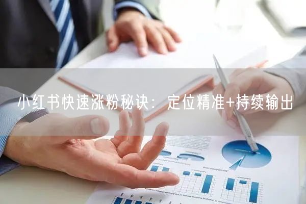 小红书快速涨粉秘诀：定位精准+持续输出