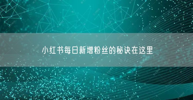 小红书每日新增粉丝的秘诀在这里