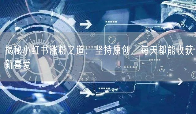 揭秘小红书涨粉之道：坚持原创，每天都能收获新喜爱