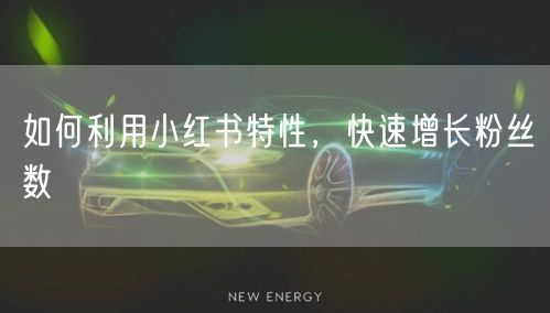 如何利用小红书特性，快速增长粉丝数