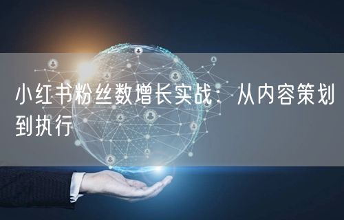 小红书粉丝数增长实战：从内容策划到执行