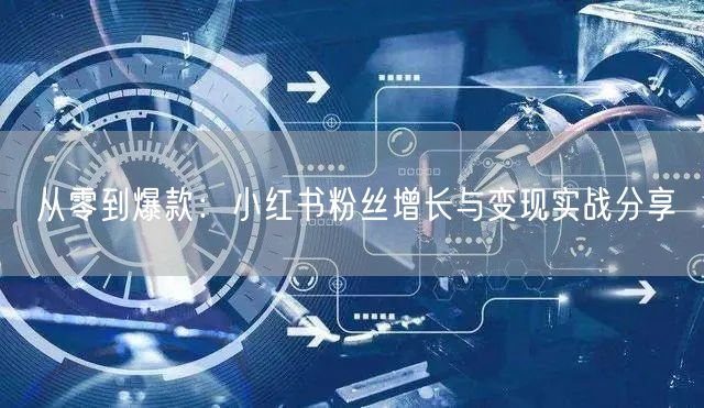 从零到爆款：小红书粉丝增长与变现实战分享