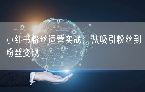 小红书粉丝运营实战：从吸引粉丝到粉丝变现