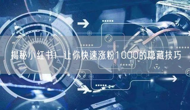 揭秘小红书！让你快速涨粉1000的隐藏技巧