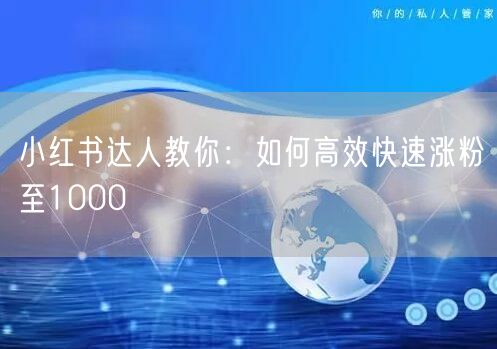 小红书达人教你：如何高效快速涨粉至1000
