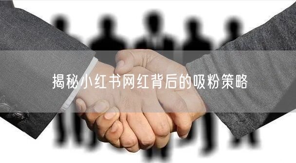 揭秘小红书网红背后的吸粉策略