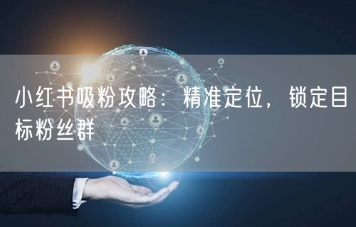 小红书吸粉攻略：精准定位，锁定目标粉丝群