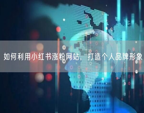 如何利用小红书涨粉网站，打造个人品牌形象