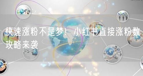 快速涨粉不是梦！小红书直接涨粉数攻略来袭