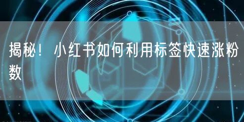 揭秘！小红书如何利用标签快速涨粉数