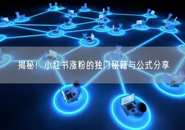 揭秘！小红书涨粉的独门秘籍与公式分享