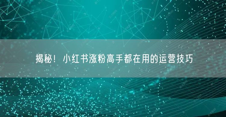 揭秘！小红书涨粉高手都在用的运营技巧