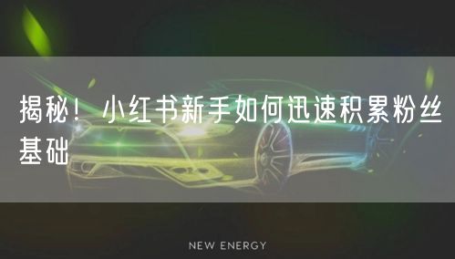 揭秘！小红书新手如何迅速积累粉丝基础