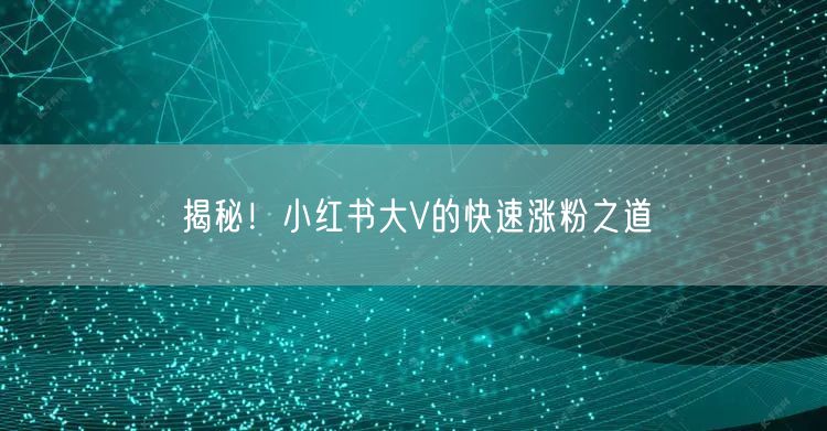 揭秘！小红书大V的快速涨粉之道