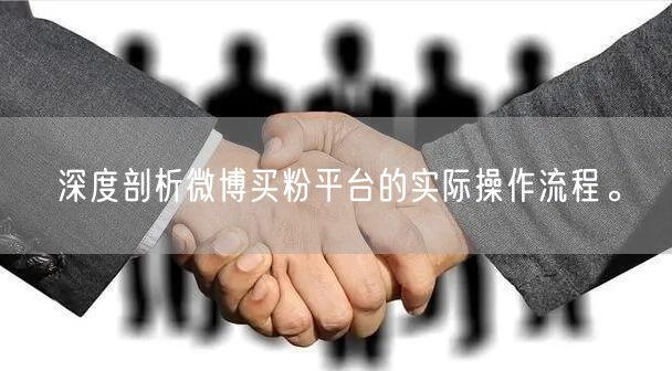 深度剖析微博买粉平台的实际操作流程。