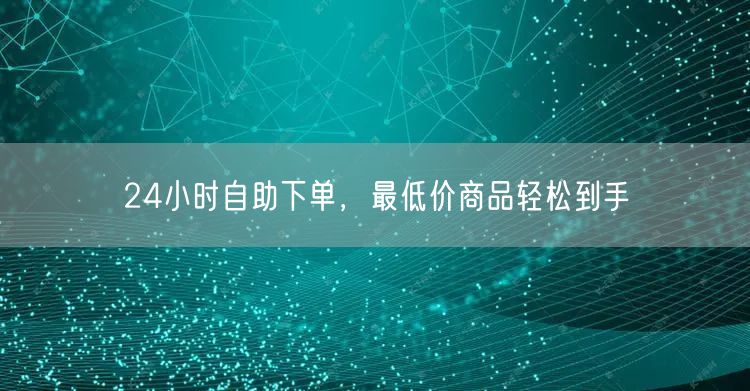 24小时自助下单，最低价商品轻松到手