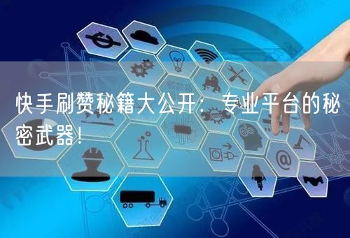 快手刷赞秘籍大公开：专业平台的秘密武器！
