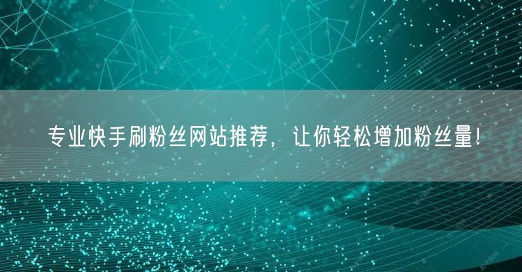 专业快手刷粉丝网站推荐，让你轻松增加粉丝量！
