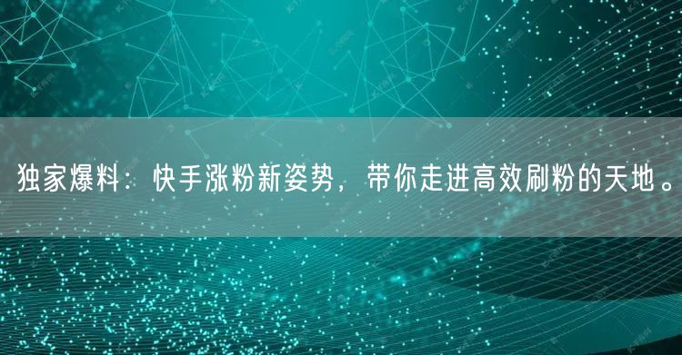 独家爆料：快手涨粉新姿势，带你走进高效刷粉的天地。