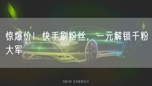 惊爆价！快手刷粉丝，一元解锁千粉大军